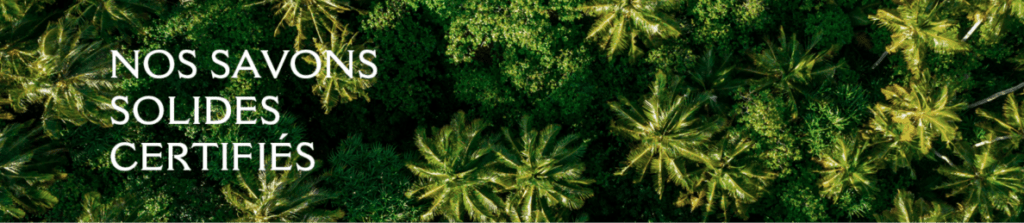 Top view of a field of Palm Trees