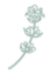 Screenshot 2022-05-05 at 13.57 1